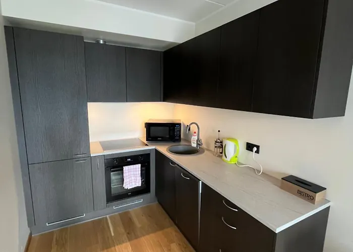 Uus Mai Taenava Korter 派尔努